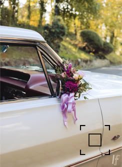 photography Ludwig Freudenberger