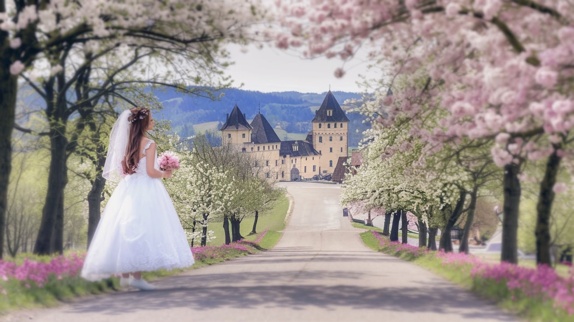 Traumhafte Allee zum Traumschloß mit Braut, Chrysler 300 Heckansicht und blühenden Frühlingsbäumen